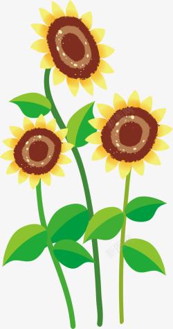 卡通向日葵素材