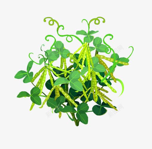 豌豆荚植物png免抠素材_88icon https://88icon.com 植物 绿叶 装饰 豌豆
