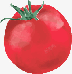 水彩手绘卡通圆形番茄矢量图素材