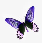 紫色蝴蝶浪漫装饰素材
