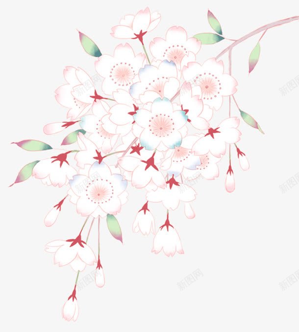 创意合成效果白色的花湖植物png免抠素材_88icon https://88icon.com 创意 合成 效果 植物 白色