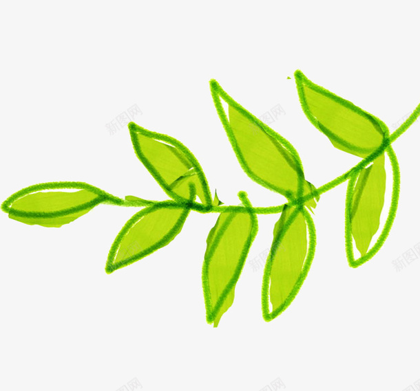 绿色树叶png免抠素材_88icon https://88icon.com 手绘 插画 植物 艺术 草叶