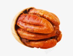 碧根果侧面素材