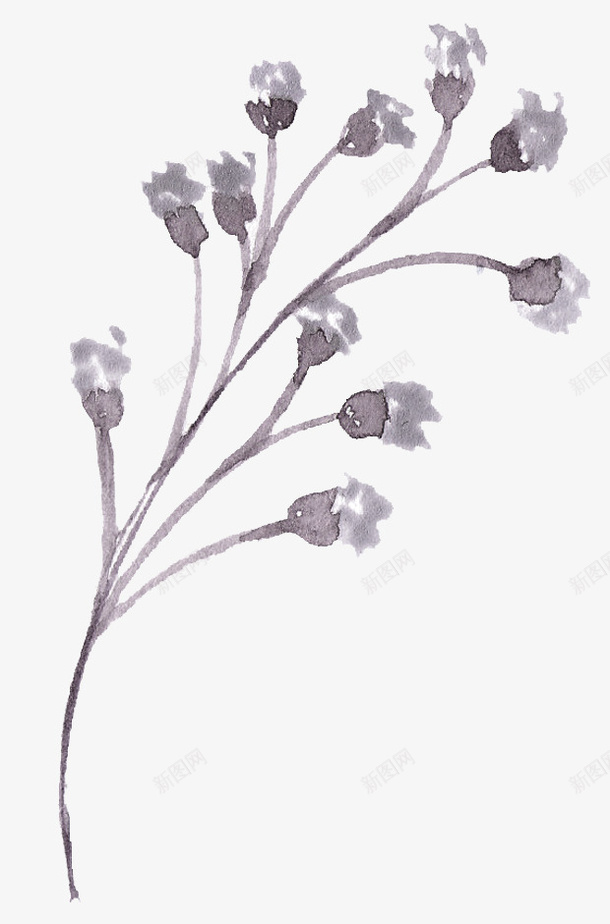 手绘小草png免抠素材_88icon https://88icon.com 小草 手绘 灰色 花朵