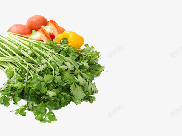 芹菜叶彩椒png免抠素材_88icon https://88icon.com 叶子 彩色食材 植物 芹菜 芹菜叶 芹菜彩椒