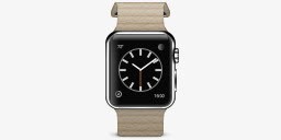 苹果皮革环产品石看苹果产品png免抠素材_88icon https://88icon.com Apple leather loop product stone watch 产品 环 皮革 看 石 苹果