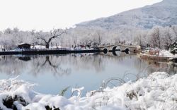北京植物园雪景五素材