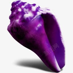 紫色海螺图标图标