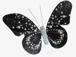 带珍珠的黑蝴蝶素材