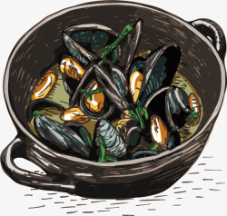 扇贝矢量图素材