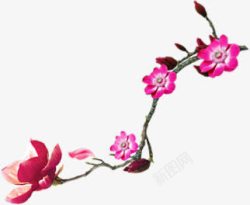 中秋节粉色花朵素材