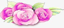 粉色水彩卡通花朵植物素材