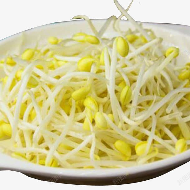 菜类豆芽png免抠素材_88icon https://88icon.com 健康 免费PNG素材 绿豆芽 蔬菜