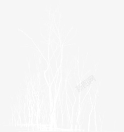 白色创意枝桠冬日素材
