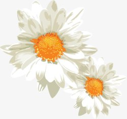 白色花朵黄色花蕊植物素材