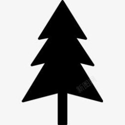 fir冷杉树名项目图标高清图片