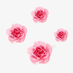 清新唯美粉色玫瑰花素材
