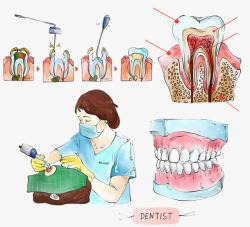 牙医医疗插图素材