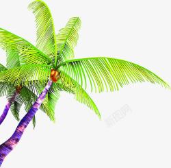 茂盛的椰子树素材