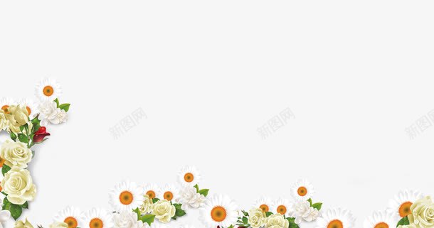白色花朵海报背景png免抠素材_88icon https://88icon.com 太阳花 白色向日葵花 白色花朵 花朵图片