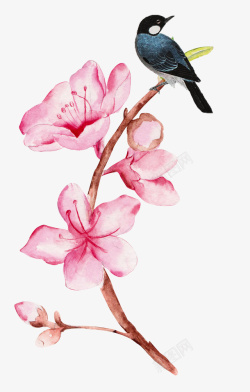 手绘粉色桃花枝上的鸟素材