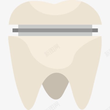 牙齿病毒磨牙冠图标图标