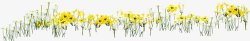 黄色卡通远景手绘花朵素材