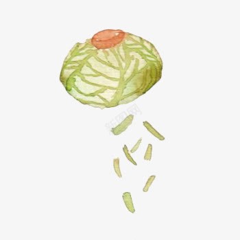 手绘包菜png免抠素材_88icon https://88icon.com 水彩画 绿色蔬菜 美食 蔬菜 青菜 食材