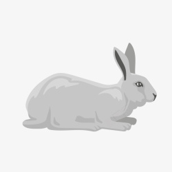 手绘灰色生动可爱侧面兔子P矢量图素材