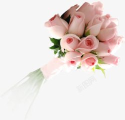 粉色浪漫甜蜜玫瑰花束素材