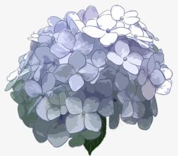 手绘蓝灰色花朵装饰素材