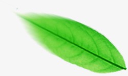 飞扬绿色植物卡通叶子素材