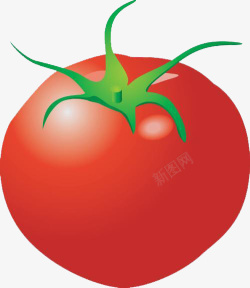营养丰富的山楂诱惑人的番茄高清图片