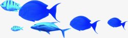 蓝色效果海报海洋鱼素材