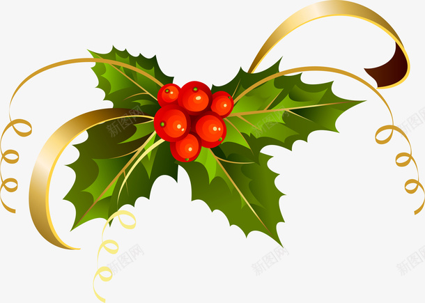 圣诞节冬青植物png免抠素材_88icon https://88icon.com 冬青 圣诞快乐 圣诞节 绸带 节日植物 装饰图案
