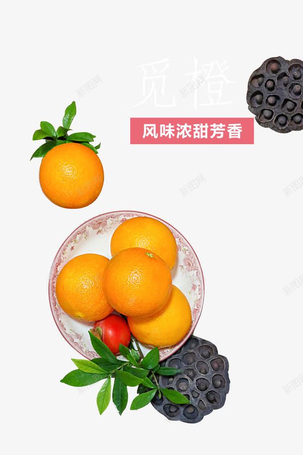 鲜甜脐橙png免抠素材_88icon https://88icon.com 当季水果 维生素C 莲蓬 赣南脐橙