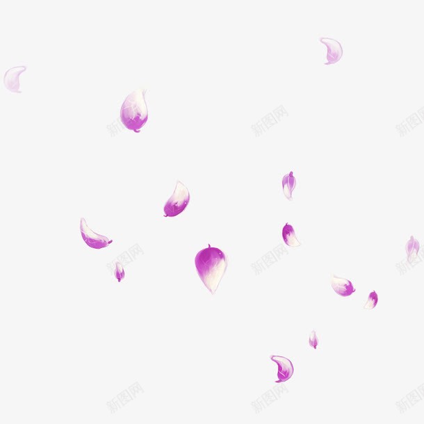 飘落的花瓣png免抠素材_88icon https://88icon.com 紫色花瓣 花瓣 飘落的花瓣