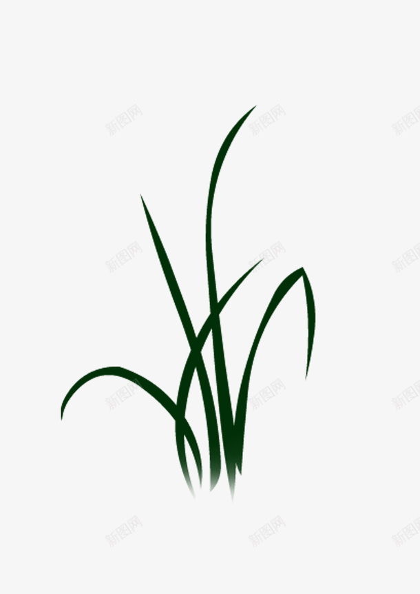 绘画植物png免抠素材_88icon https://88icon.com 绘画植物 绿色 自然 草