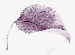 白雪紫色树叶素材