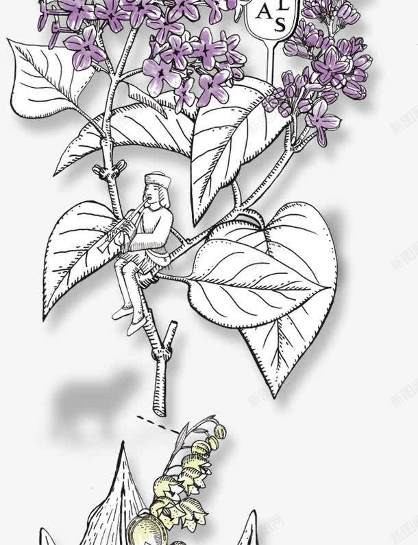 花纹卡通白色紫色树叶花朵效果png免抠素材_88icon https://88icon.com 卡通 效果 树叶 白色 紫色 花朵 花纹
