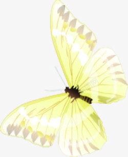 创意合成飞舞的黄色蝴蝶效果素材