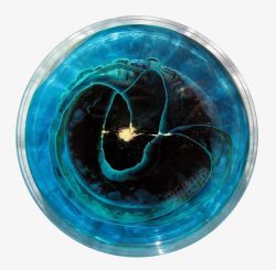 彩色细胞浅蓝色的微生物培养皿高清图片