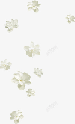 漂浮漂亮白色花朵素材