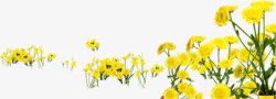 黄色卡通花朵美景春天素材