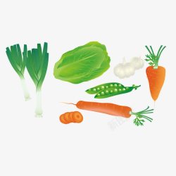 卡通蔬菜食材维生素营养素材