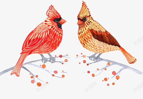 水彩动物成双成对手绘插画png免抠素材_88icon https://88icon.com 动物 成双成对 手绘 插画 水彩 鸟类
