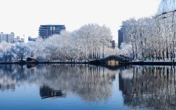 北京玉渊潭雪景一素材