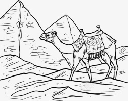 埃及金字塔和骆驼素材