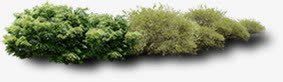 绿树园林清新植物png免抠素材_88icon https://88icon.com 园林 植物 清新 绿树