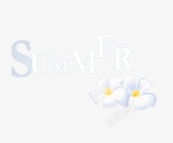 summer素材